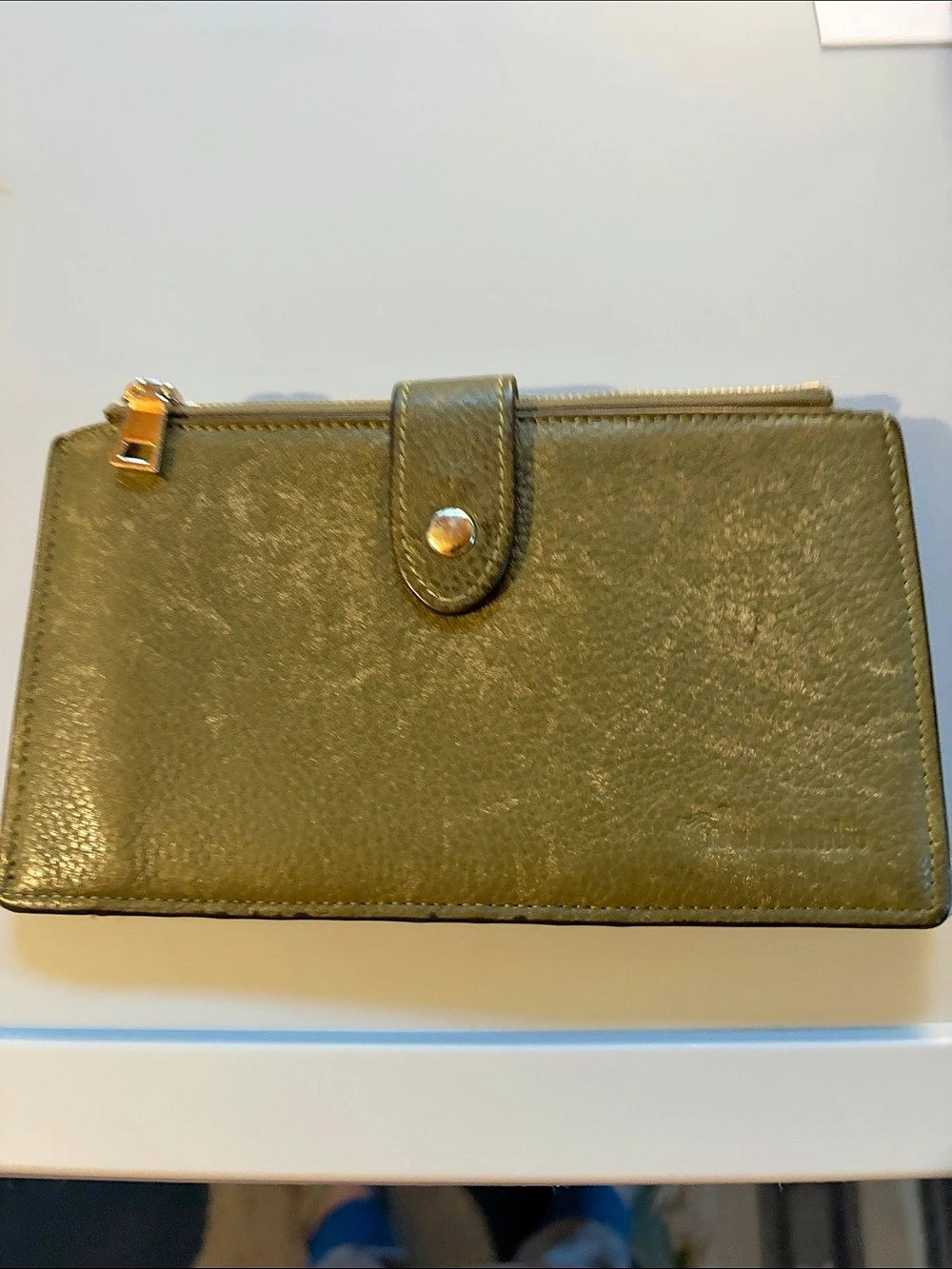 Travelambro Leather Wallet in Green